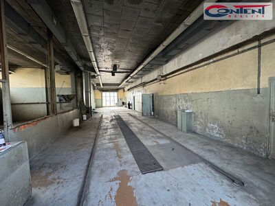 Exkluzivní pronájem haly 300-1.200 s venkovní plochou až 17.000 m², Praha - Satalice, D10, D11 - 64048