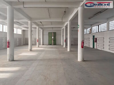 Pronájem skladu, výrobních prostor 4.023 m², Přerov - 64117