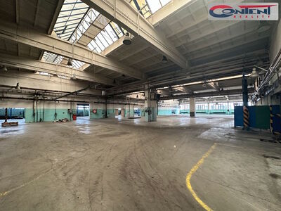Pronájem skladu, výrobních prostor 9.000 m², Příbram - 64165