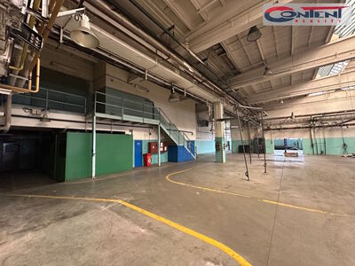 Pronájem skladu, výrobních prostor 9.000 m², Příbram - 64166
