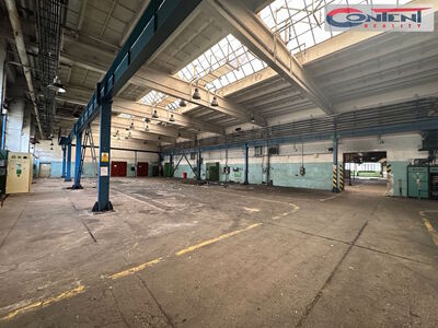 Pronájem skladu, výrobních prostor 9.000 m², Příbram - 64167