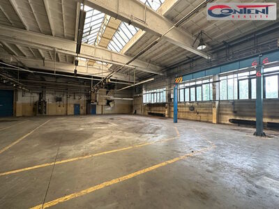 Pronájem skladu, výrobních prostor 9.000 m², Příbram - 64170