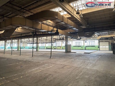 Pronájem skladu, výrobních prostor 9.000 m², Příbram - 64159