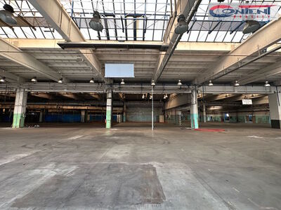 Pronájem skladu, výrobních prostor 9.000 m², Příbram - 64164