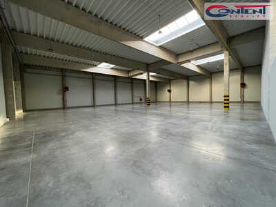 Pronájem skladu, výrobních prostor 23.605 m², Brno - Ledce - 64307