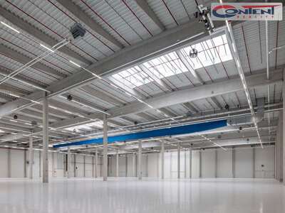 Pronájem skladu, výrobních prostor 34.895 m², Ostrava, D1 - 64448