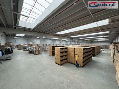 Pronájem skladu, výrobních prostor 11.000 m², Říčany u Prahy - 64545