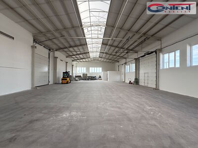 Pronájem skladu, výrobních prostor 643 m², Městec Králové - 64760