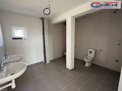 Pronájem skladu, výrobních prostor 643 m², Městec Králové - 64763