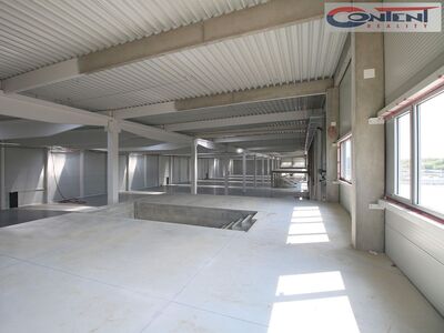 Pronájem multifunkčních industriálních prostor 1021 m², Praha 10 - Malešice - 64967