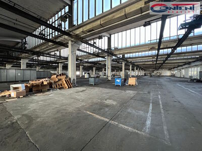 Pronájem skladu, výrobních prostor 10.000 m², Kladno - 65166