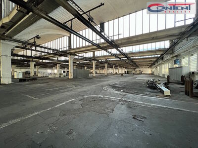 Pronájem skladu, výrobních prostor 10.000 m², Kladno - 65167