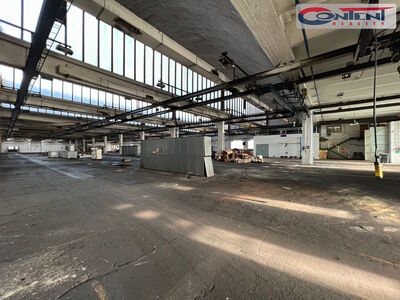 Pronájem skladu, výrobních prostor 10.000 m², Kladno - 65168