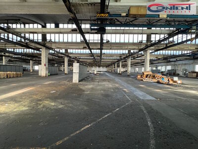 Pronájem skladu, výrobních prostor 10.000 m², Kladno - 65169