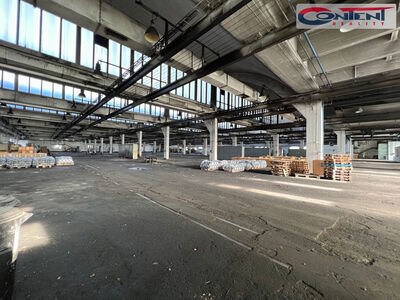 Pronájem skladu, výrobních prostor 10.000 m², Kladno - 65170