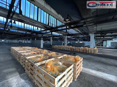 Pronájem skladu, výrobních prostor 10.000 m², Kladno - 65172