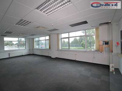 Pronájem skladu, výrobních prostor 5.466 m², Kvasiny - 65274