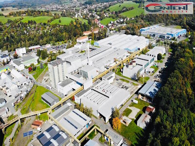 Pronájem skladu, výrobních prostor 5.000 m², Valašské Meziříčí - 65387