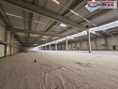 Pronájem novostavby skladu, výrobních prostor 3.500 m², Ostrava - Zárubek - 65395
