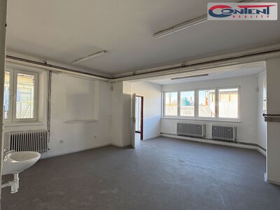 Pronájem skladových prostor 2.610 m², Kostěnice - 65506