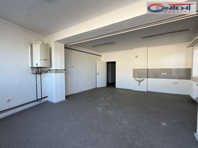 Pronájem skladových prostor 2.610 m², Kostěnice - 65507