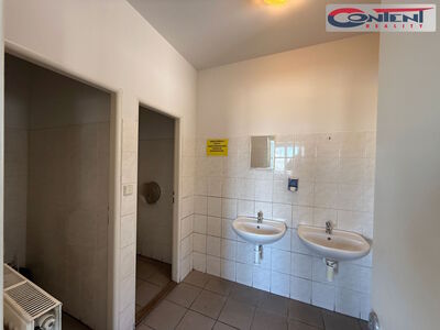Pronájem skladových prostor 2.610 m², Kostěnice - 65508