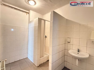 Pronájem skladových prostor 2.610 m², Kostěnice - 65509