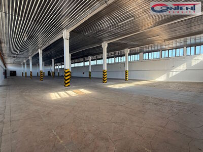 Pronájem skladových prostor 2.610 m², Kostěnice - 65494