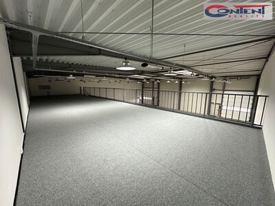 Pronájem skladu, výrobních prostor 540 m², Zápy - 65827