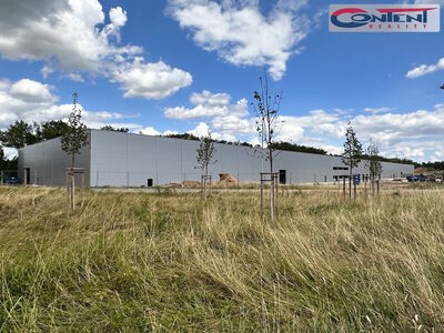 Pronájem skladu, výrobních prostor 8.000 m², Přimda - Mlýnec - 65981