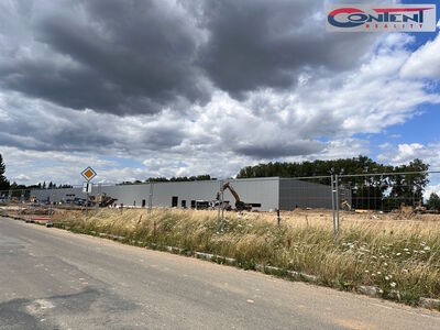 Pronájem skladu, výrobních prostor 8.000 m², Přimda - Mlýnec - 65984