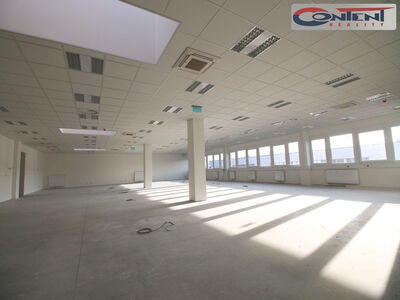 Pronájem skladu, výrobních prostor 8.000 m², Přimda - Mlýnec - 65985