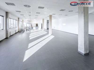 Pronájem skladu, výrobních prostor 2.000 m², Prostějov, D46 - 66005