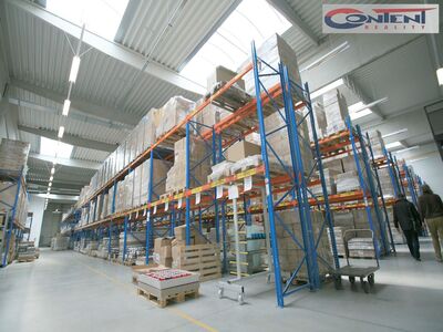 Pronájem skladu, výrobních prostor 7.921 m², Benátky nad Jizerou - 66032