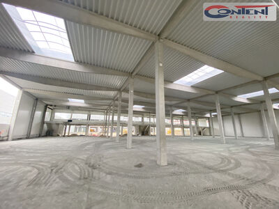 Pronájem skladu, výrobních prostor 10.232 m², Benátky nad Jizerou - 66092