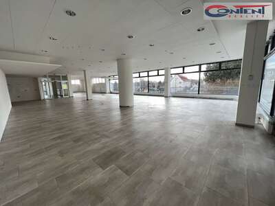 Pronájem multifunkčních industriálních prostor 380 m², Plzeň - Lochotín - 66189