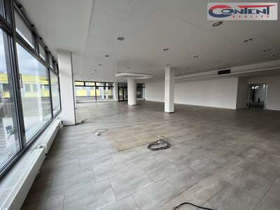 Pronájem multifunkčních industriálních prostor 380 m², Plzeň - Lochotín - 66192