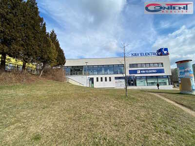 Pronájem multifunkčních industriálních prostor 380 m², Plzeň - Lochotín - 66193