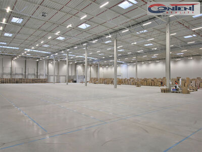 Pronájem skladu, výrobních prostor 9.600 m² Pavlov, D6 - 66311