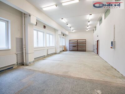 Pronájem skladu, výrobních prostor 3.400 m², Hořice - 66533