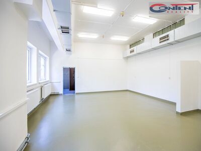Pronájem skladu, výrobních prostor 3.400 m², Hořice - 66542