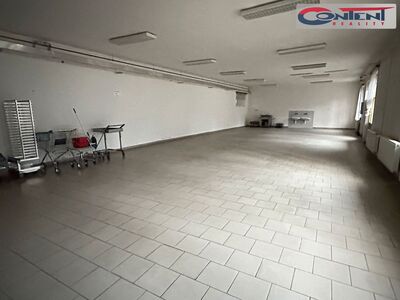 Pronájem skladu, výrobních prostor 3.400 m², Hořice - 66547