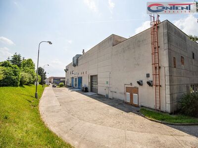 Pronájem skladu, výrobních prostor 3.400 m², Hořice - 66534
