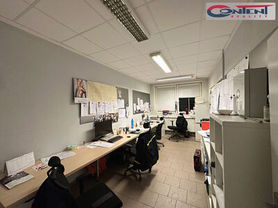 Pronájem skladu, výrobních prostor 7.684 m², Most - 66565
