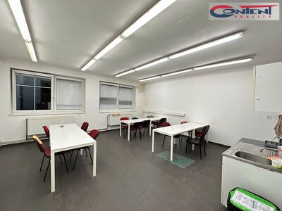 Pronájem skladu, výrobních prostor 7.684 m², Most - 66567