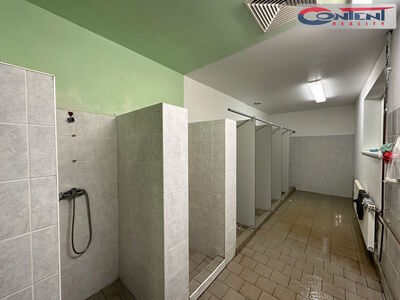 Pronájem skladu, výrobních prostor 7.684 m², Most - 66569