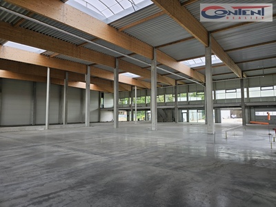 Pronájem novostavby skladu, výrobních prostor 6.000 m², Ostrava Hrabová, D56 - 66729