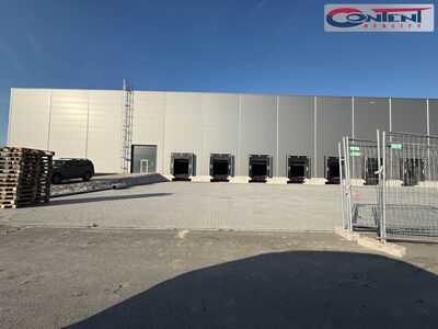 Pronájem skladu, výrobních prostor 23.000 m², Hustopeče, D2 - 66798
