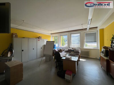 Pronájem skladu, výrobních prostor 1.173 m², Ústí nad Labem - 66828