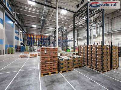 Pronájem skladu, výrobních prostor 14.000 m², Divišov - dálnice D1 - 66909